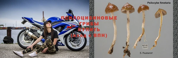 дживик Козловка