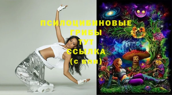 тгк Козельск