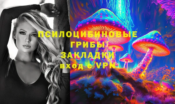 дживик Козловка