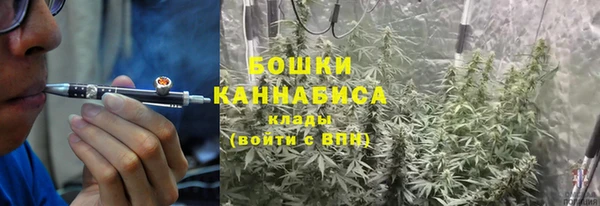 тгк Козельск