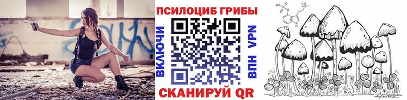Купить  Городец  Псилоцибиновые грибы Cubensis 